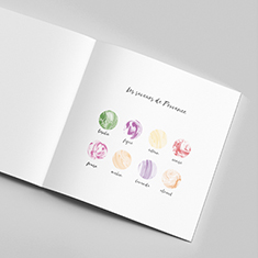 projet5